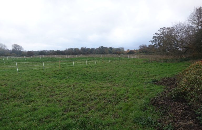 Area of Heritage Planning Appeal which heritage evidence written as Heritage Impact Assessment written Area of Heritage Planning Appeal which heritage evidence written as Heritage Impact Assessment written